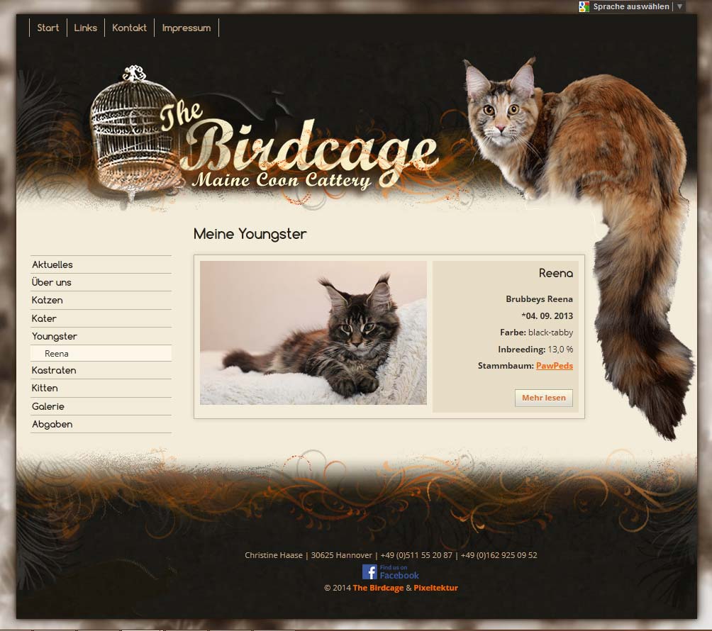 Screenshot The Birdcage
